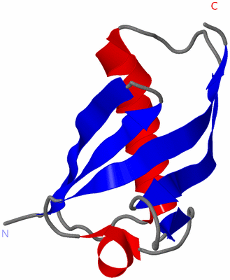 Image NMR Structure - model 1