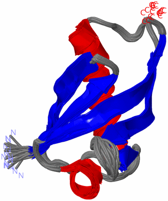 Image NMR Structure - all models