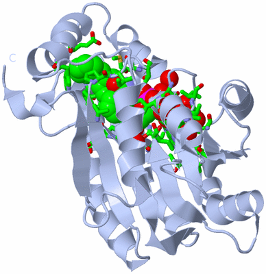 Image Biol. Unit 1 - sites