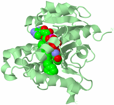 Image Biological Unit 2