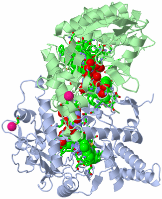 Image Asym./Biol. Unit - sites