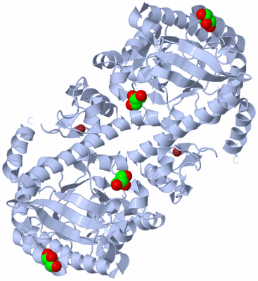 Image Biological Unit 1