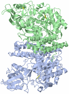 Image Asym./Biol. Unit