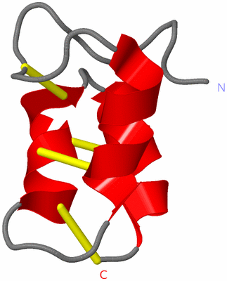 Image NMR Structure - model 1