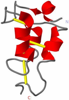 Image NMR Structure - model 1