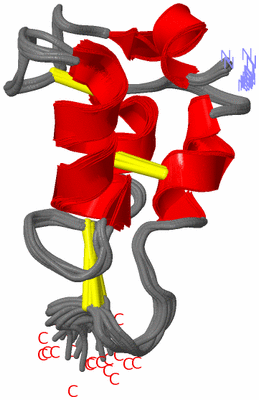 Image NMR Structure - all models