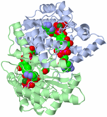 Image Asym./Biol. Unit