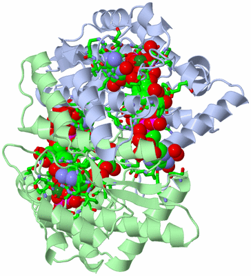 Image Asym./Biol. Unit - sites