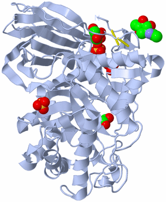 Image Biological Unit 1