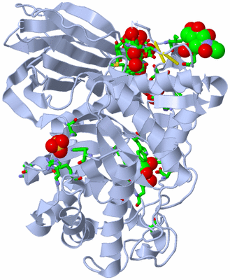 Image Biol. Unit 1 - sites