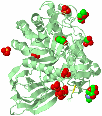 Image Biological Unit 2