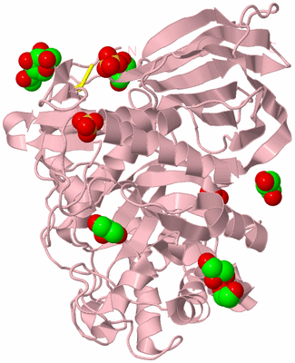 Image Biological Unit 3