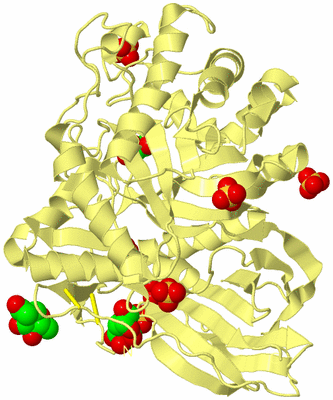 Image Biological Unit 4