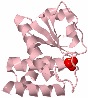 Image Biological Unit 3