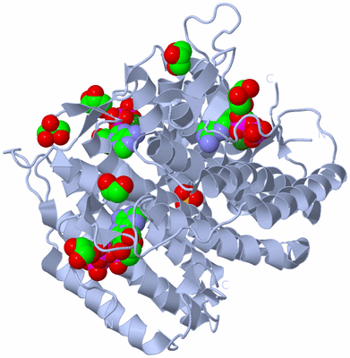 Image Biological Unit 1