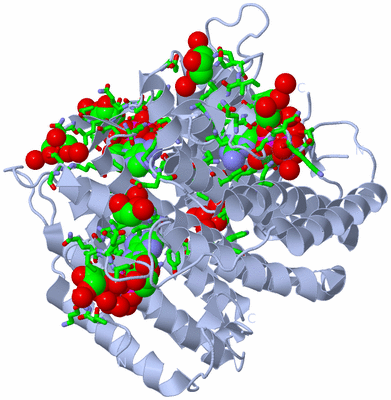 Image Biol. Unit 1 - sites