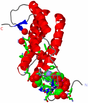 Image Asym. Unit - sites