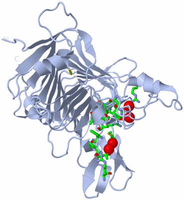 Image Biol. Unit 1 - sites