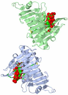 Image Asym. Unit - sites