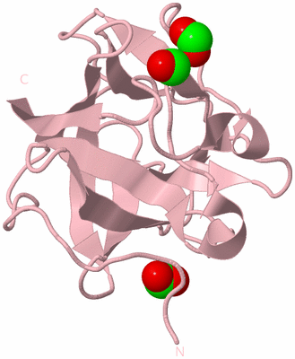 Image Biological Unit 3