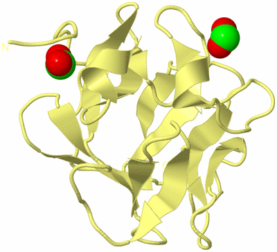 Image Biological Unit 4