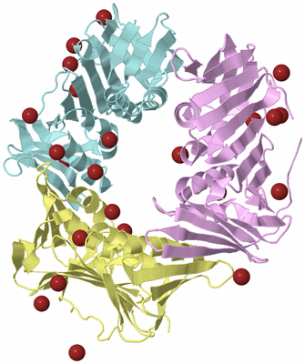 Image Biological Unit 1