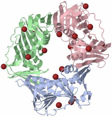 Image Biological Unit 2