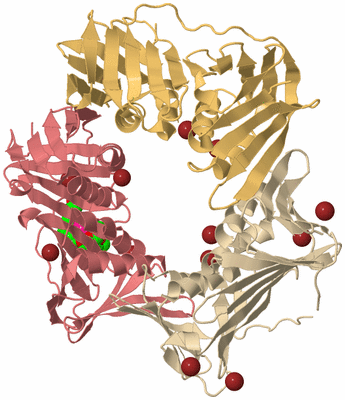 Image Biological Unit 3