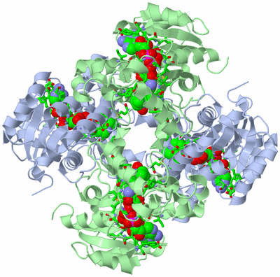 Image Biol. Unit 1 - sites