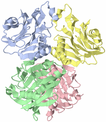 Image Asym./Biol. Unit