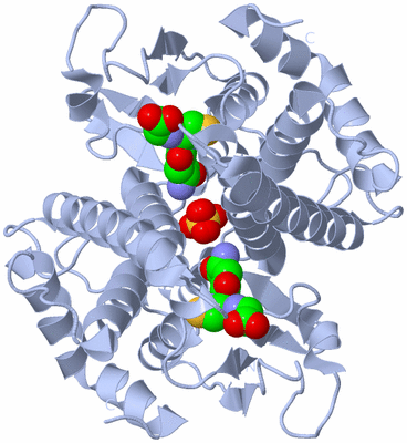 Image Biological Unit 1