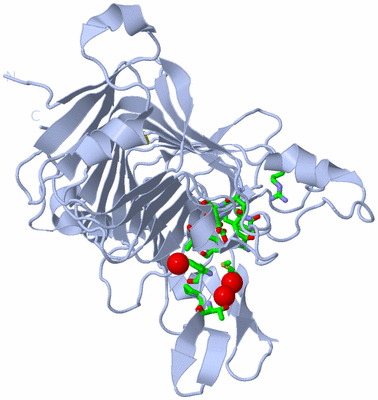 Image Biol. Unit 1 - sites