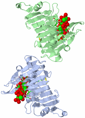 Image Asym. Unit - sites