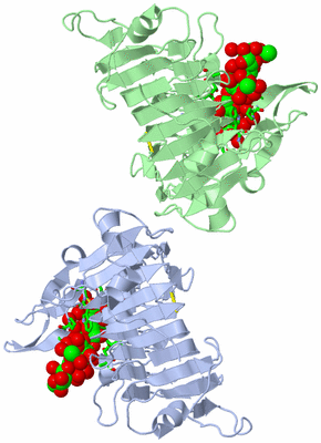 Image Asym. Unit - sites