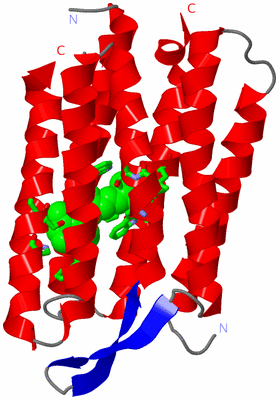 Image Asym. Unit - sites