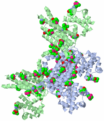 Image Biological Unit 2