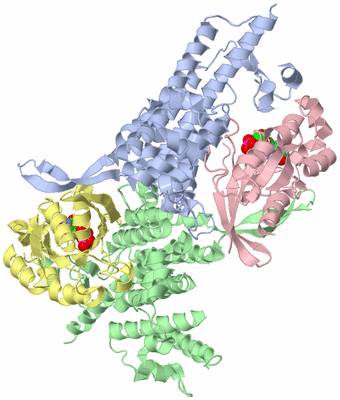 Image Asym./Biol. Unit