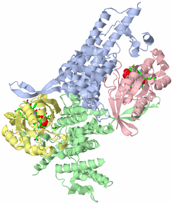 Image Asym./Biol. Unit - sites