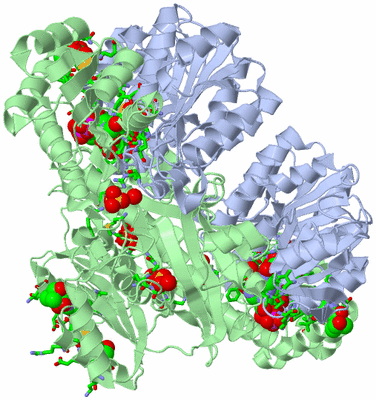 Image Biol. Unit 1 - sites