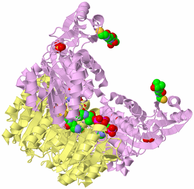 Image Biological Unit 2