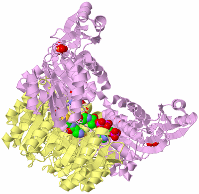 Image Biological Unit 2