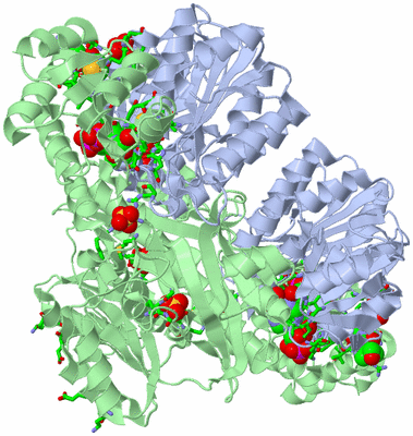 Image Biol. Unit 1 - sites