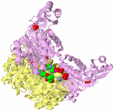 Image Biological Unit 2