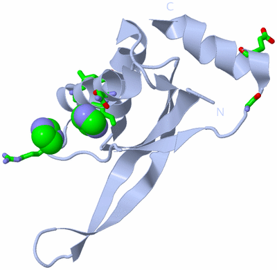 Image Biol. Unit 1 - sites