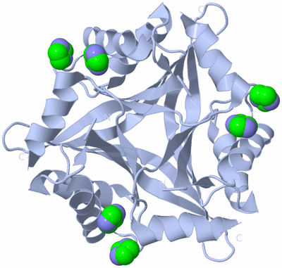 Image Biological Unit 2