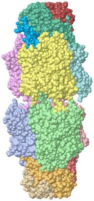 Image Asymmetric Unit