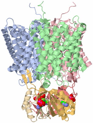 Image Biological Unit 1