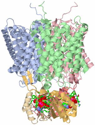 Image Biol. Unit 1 - sites