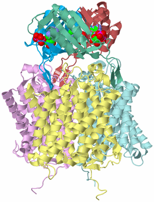 Image Biological Unit 2