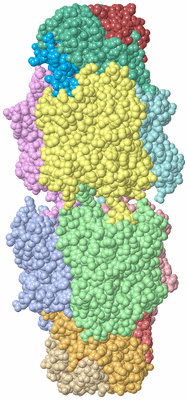 Image Biological Unit 3